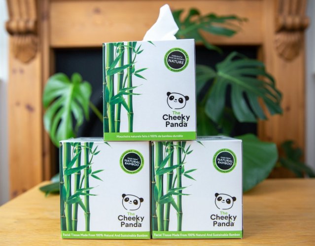 Ekologické vreckovky v boxe The Cheeky Panda 56 ks